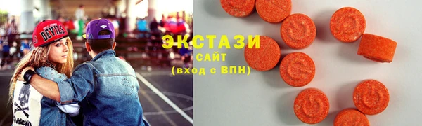 гидра Богданович
