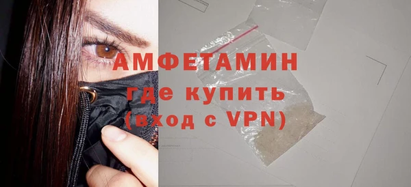 гидра Богданович