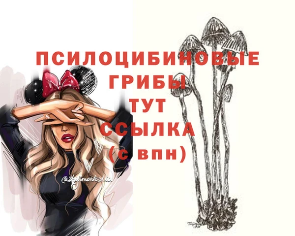 МДМА Богородицк