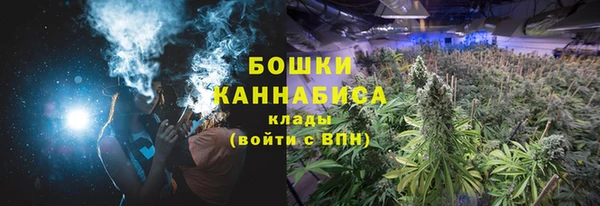 гидра Богданович