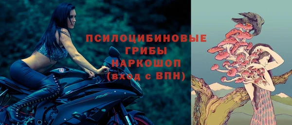 МДМА Богородицк